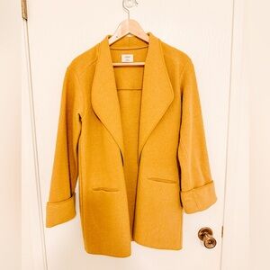 Aritzia Coat